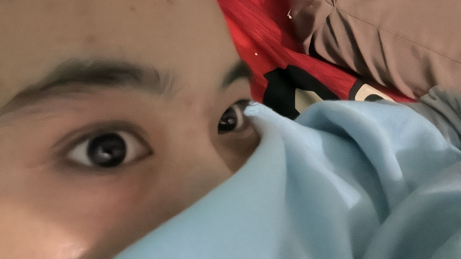 Gambar 1